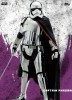 Star Wars Universe Episode VIII - Posters 