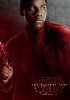 Star Wars Universe Episode VIII - Posters 