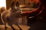 Star Wars Universe Ahsoka - First Look Saison 1 
