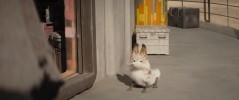 Star Wars Universe Ahsoka - First Look Saison 1 
